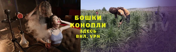 трава Абаза