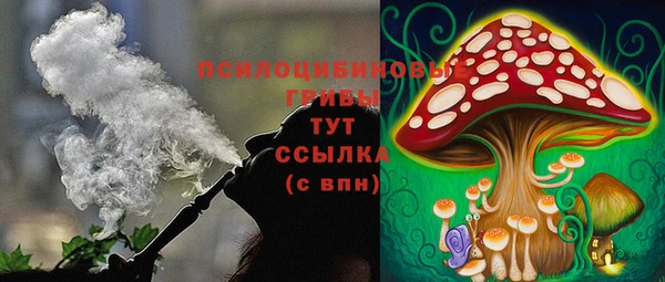 трава Абаза