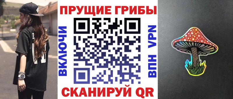 Псилоцибиновые грибы Psilocybine cubensis  купить  сайты  Иноземцево 
